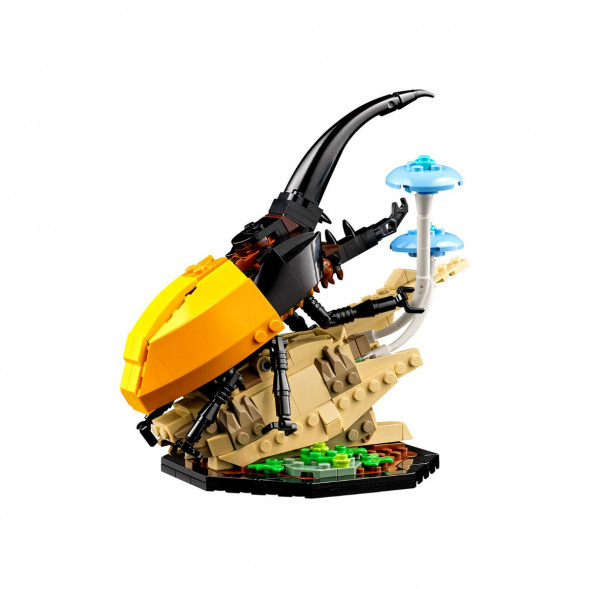 Конструктор LEGO Ideas 21342 Коллекция насекомых в Томске